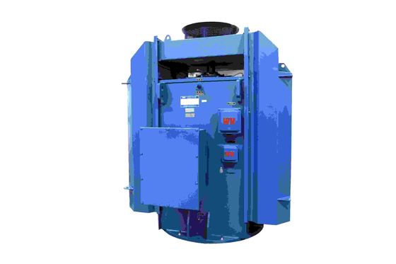 10KV 3 Phase High Voltage Induction Motors With NEMA Premium