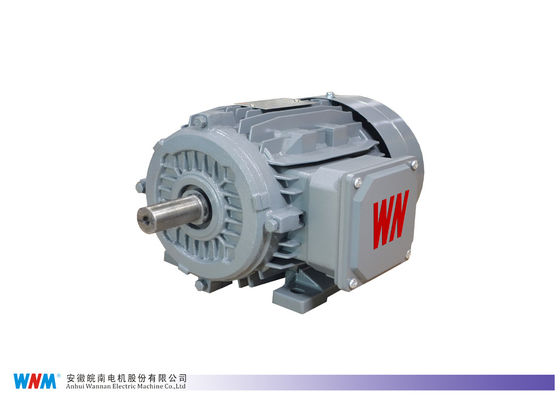 0.25kw To 350kw Three Phase Induction AC Electrical Low Voltage Motor