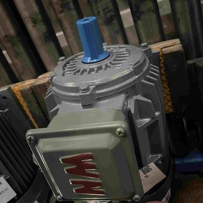 Cast Iron Three Phase Low Voltage Electric Motor with Fixed Frequency